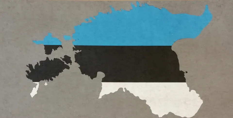 Eesti kaardi kujuline akustiline paneel sinimustvalgetes toonides